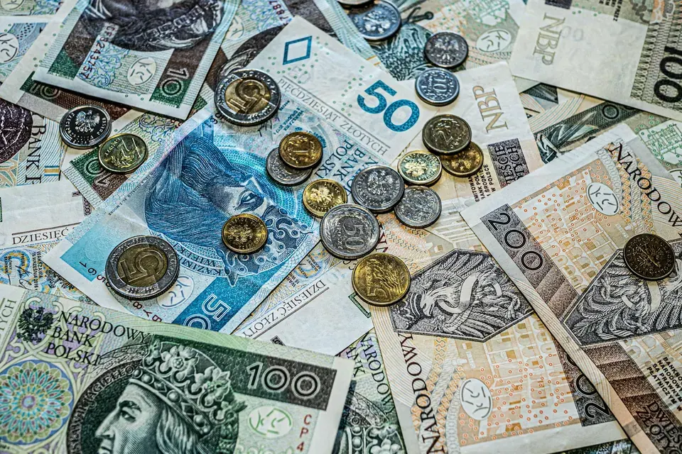 Как безопасно оплатить микрозайм через Госуслуги