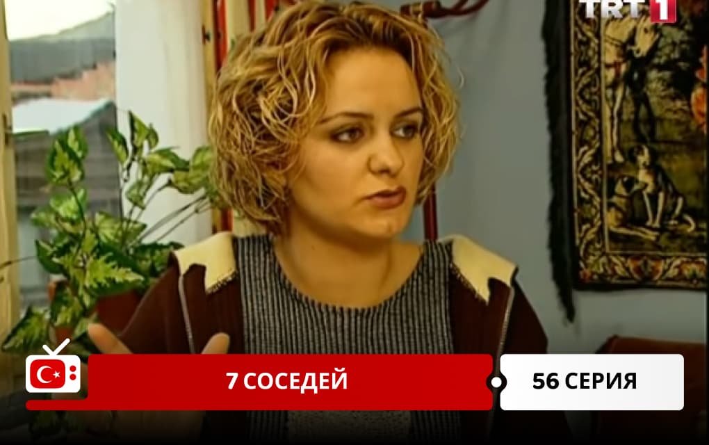 7 соседей 56 серия