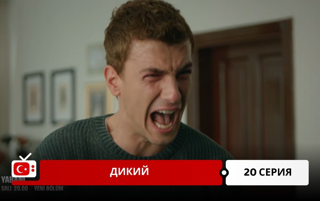 Дикий 20 серия