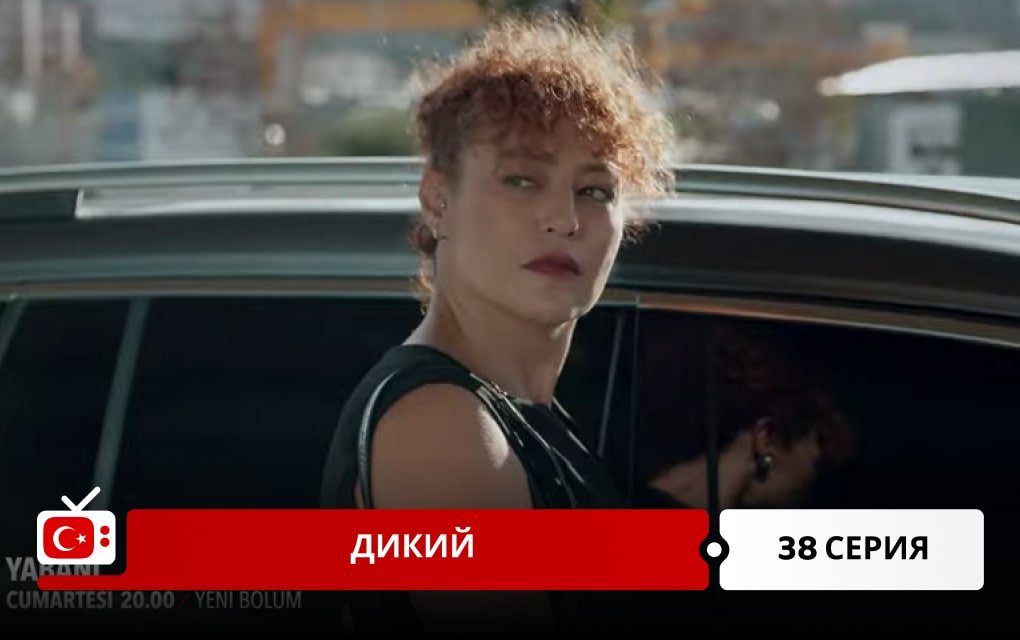 Дикий 38 серия