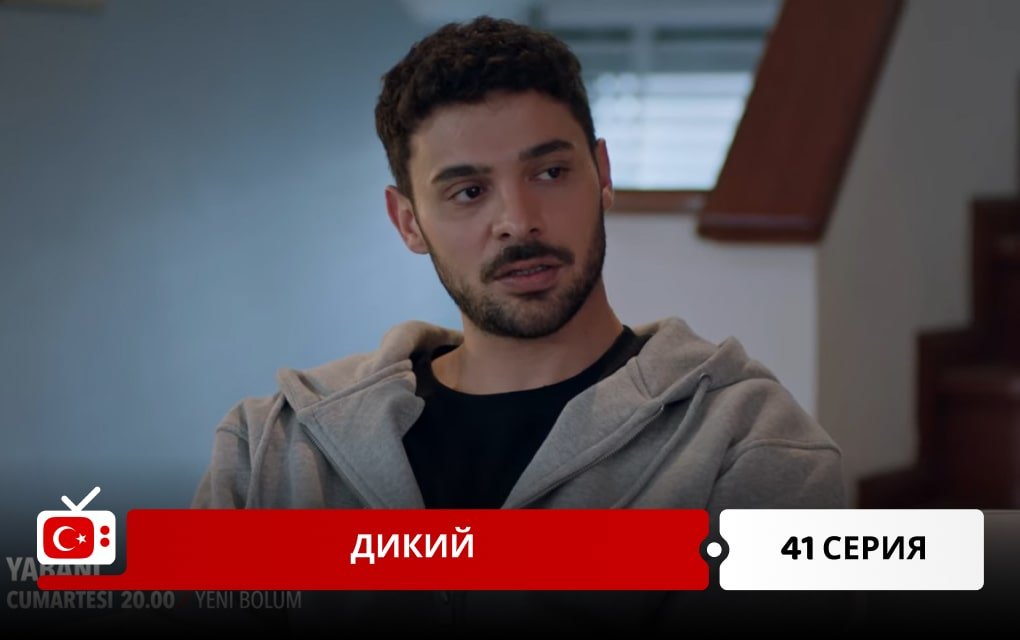 Дикий 41 серия