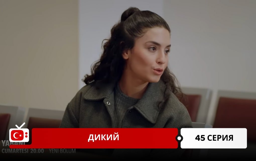 Дикий 45 серия