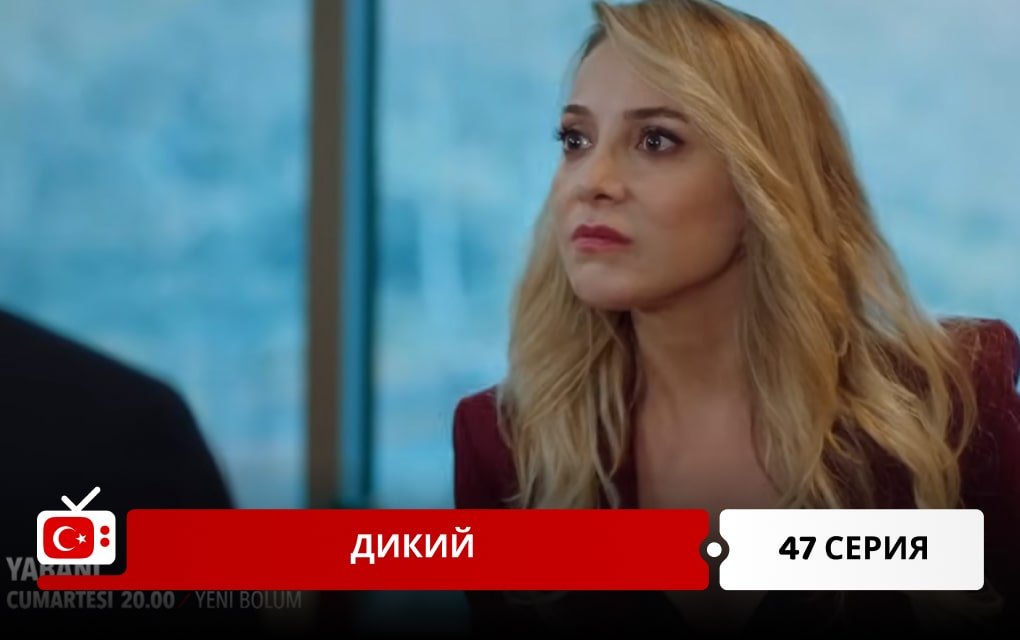 Дикий 47 серия